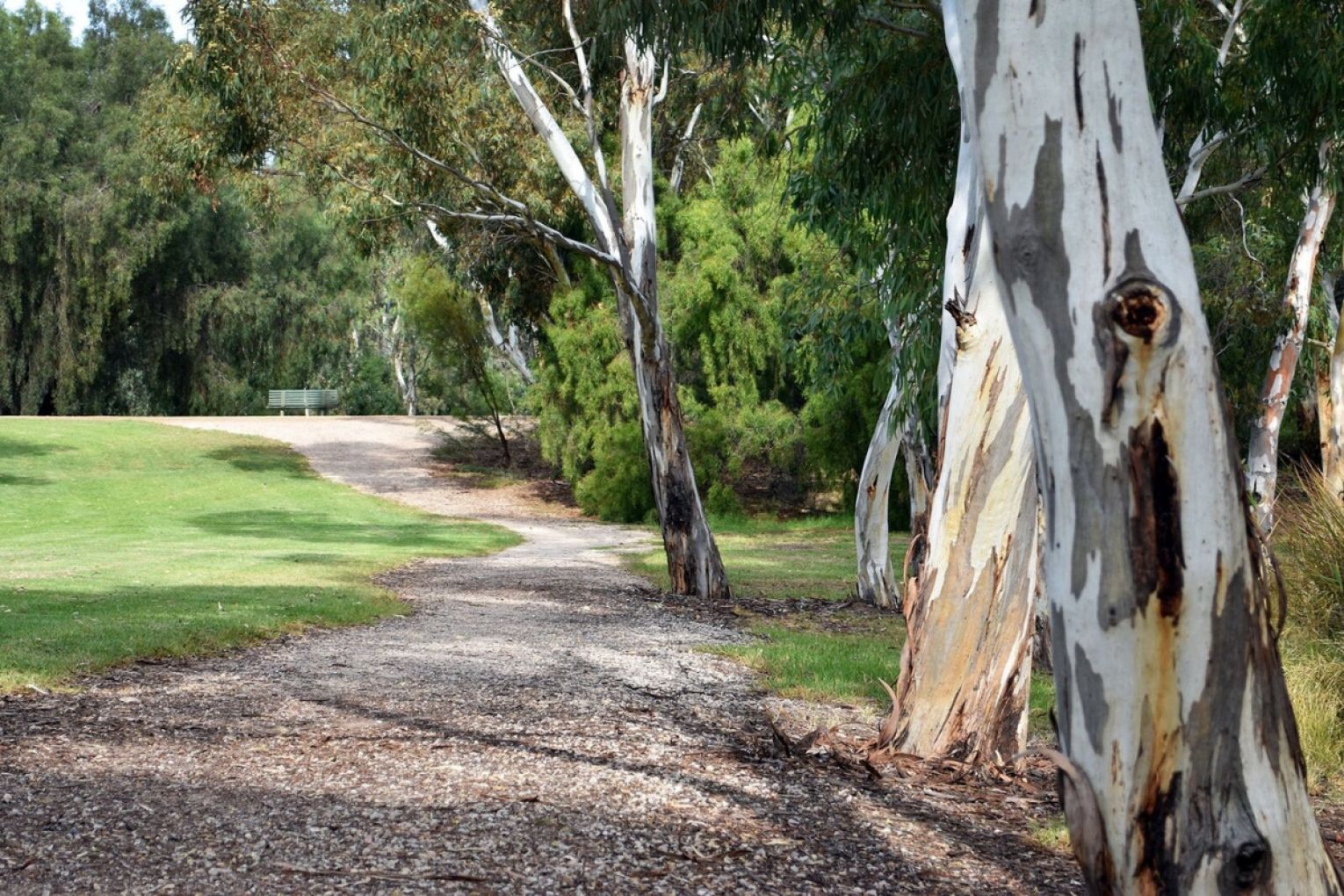 Walpole Road Wetlands, which is located in Paralowie. Photo: City of Salisbury