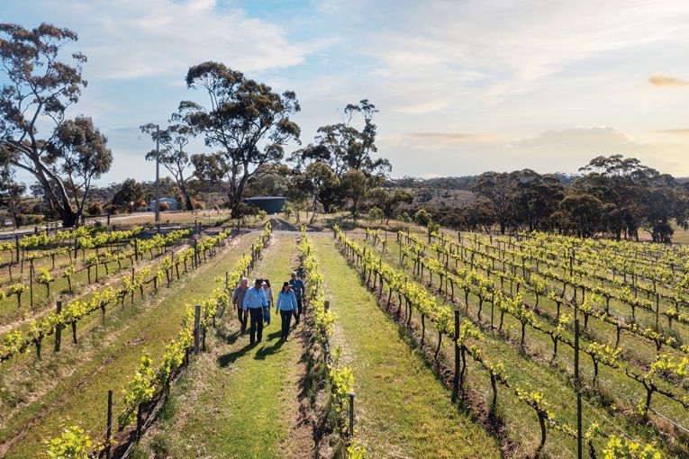 Thumbnail for 20 cellar doors to visit in the Clare Valley