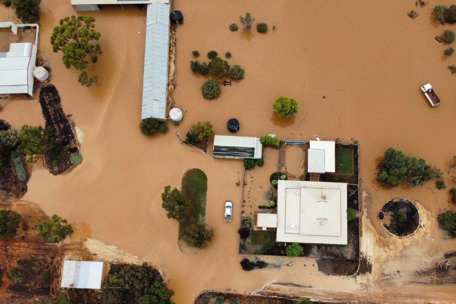 A farming property in the Riverland has been flooded following record rainfall over the weekend. Photo: supplied.