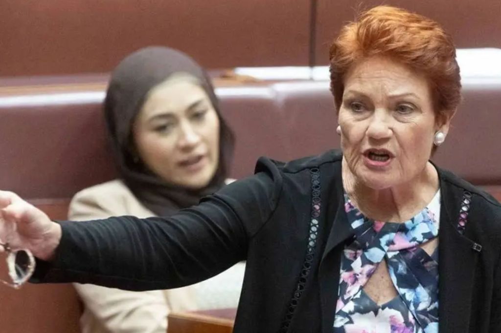 Exposed: Hanson's false claims about non-citizens - News | InDaily, Inside South Australia