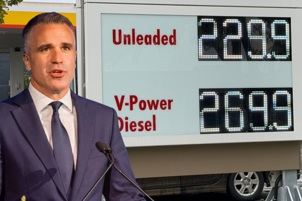 Mali calls emergency SA fuel security roundtable