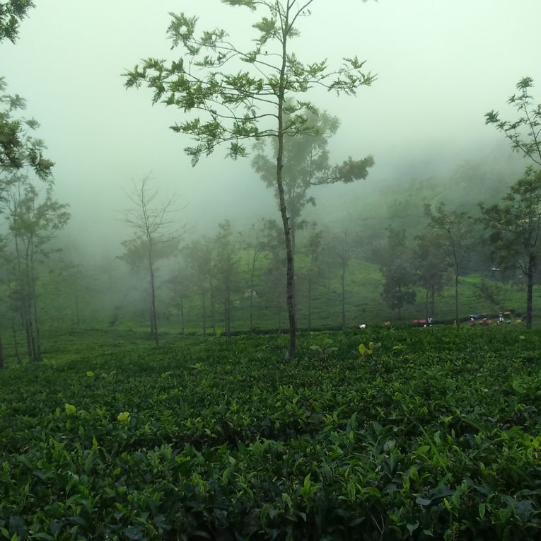 Thumbnail for Poem: Serendip, a History Lesson