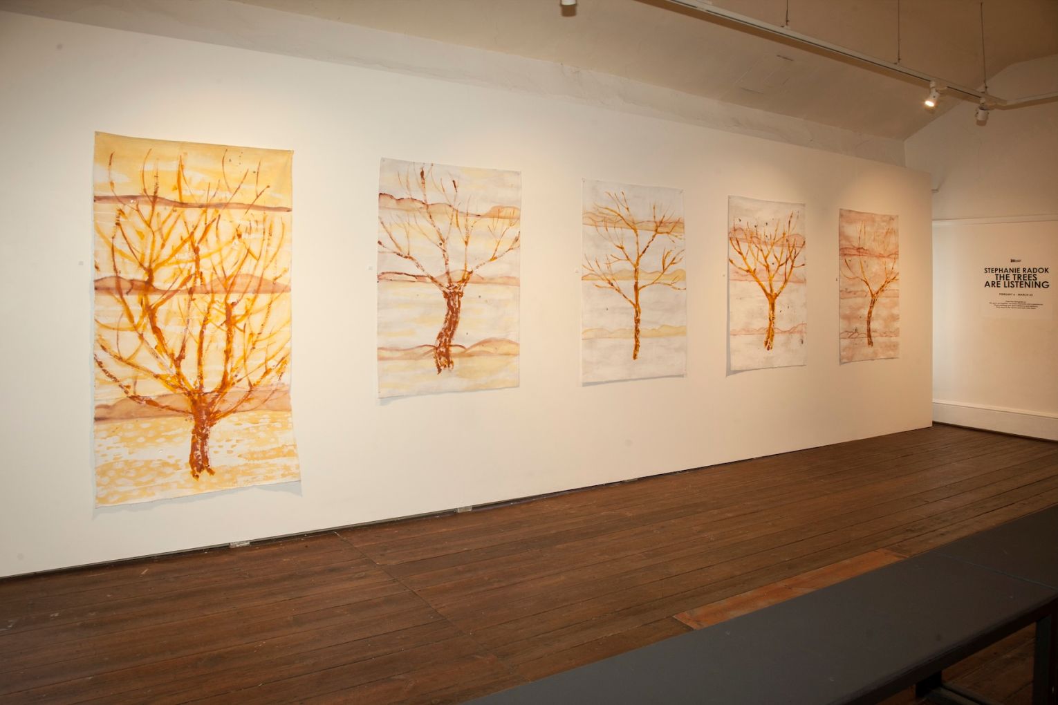 Installation view: Stephanie Radok, The Trees Are Listening, Hahndorf Academy. Photo: Michal Kluvanek / Supplied
