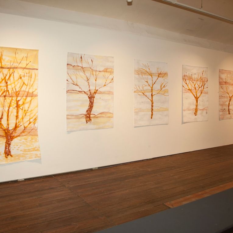 Thumbnail for Stephanie Radok’s spectral trees invite slow reflection