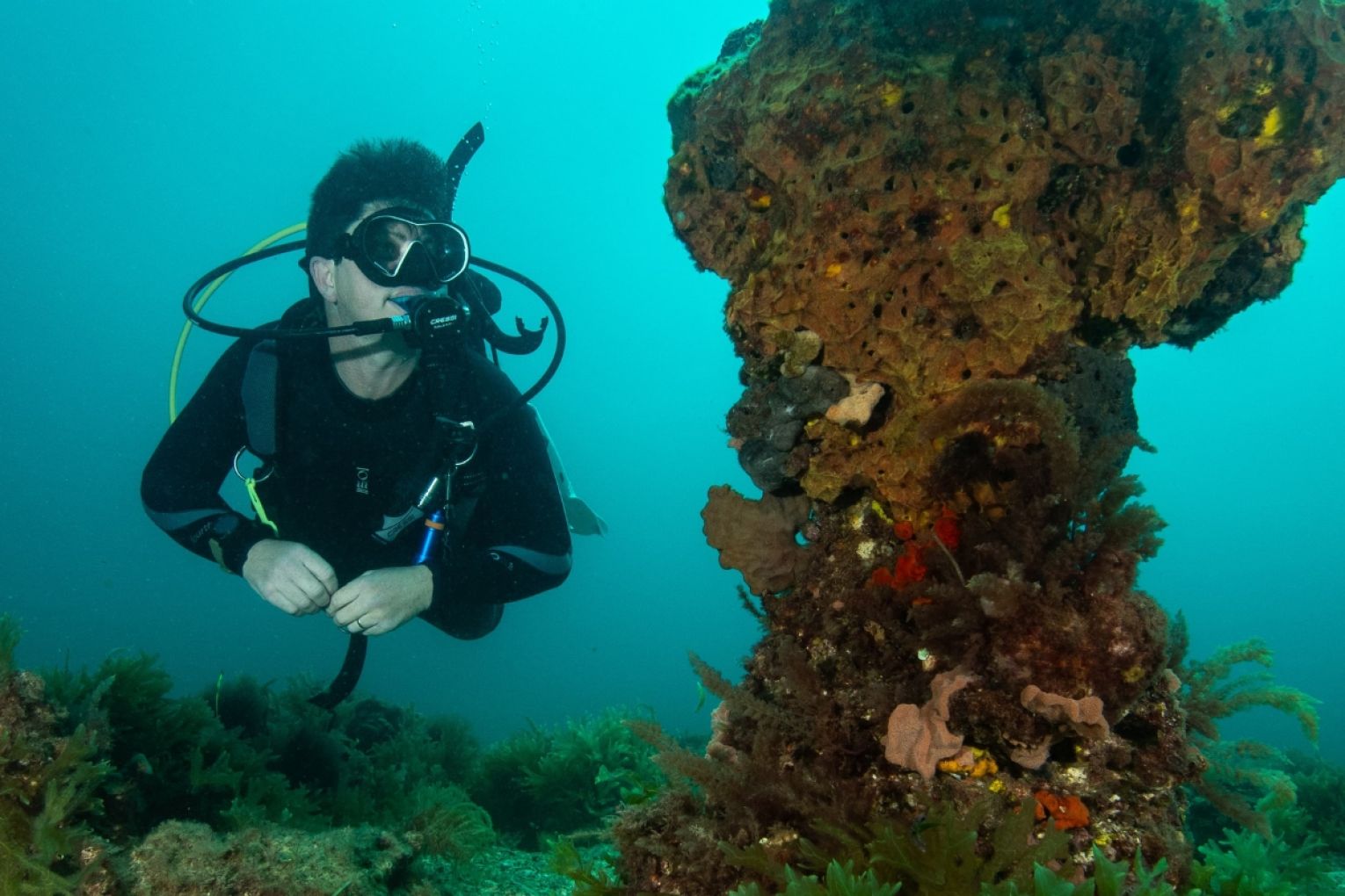 Rob Blackburn said the emotional toll of the algal bloom had been significant. Photo: Supplied