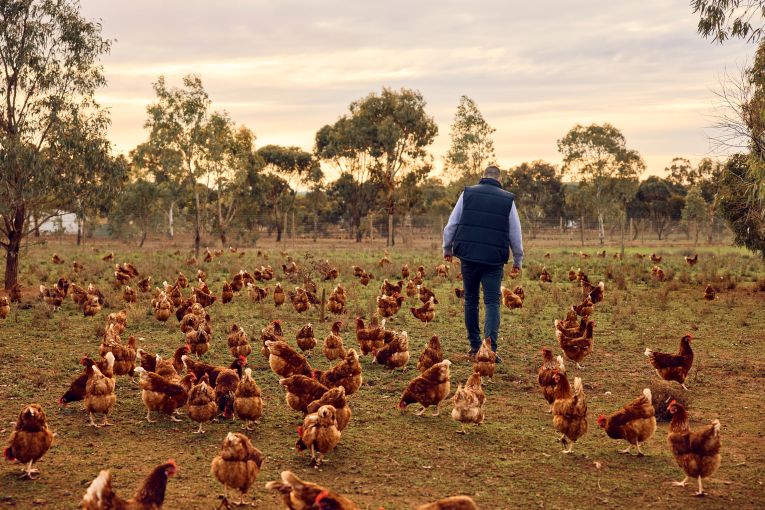 Thumbnail for Inside a South Aussie staple