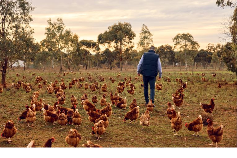 Thumbnail for Inside a South Aussie staple