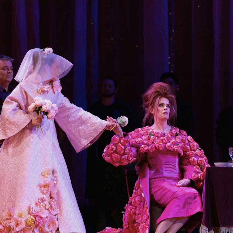 Thumbnail for Cinders, mermaids and other fairytale fun at the opera