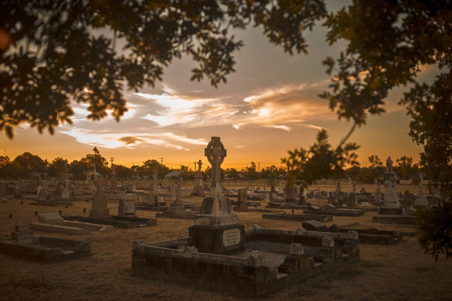 Roma Cemetery at sunset, from the exhibition Dearly Departed, now on at the State Library of Queensland.