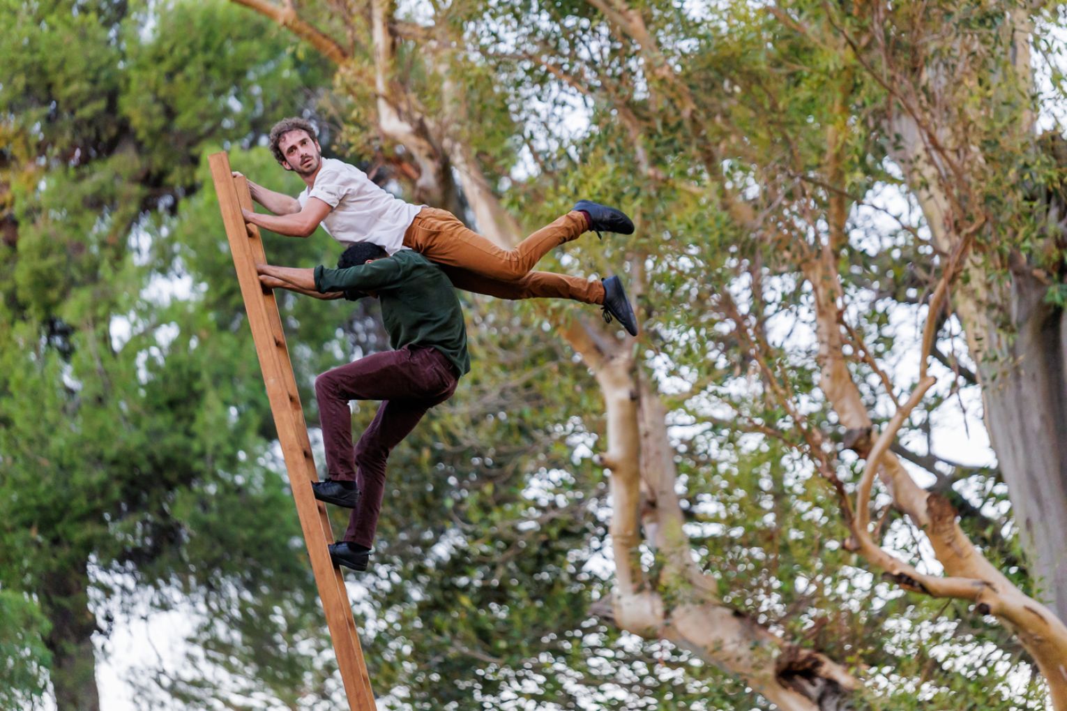 Contemporary circus company Hors Surface performed Le poids des Nuages (The Weight of Clouds) at WOMADelaide 2026. Photo: Ben Kelly.