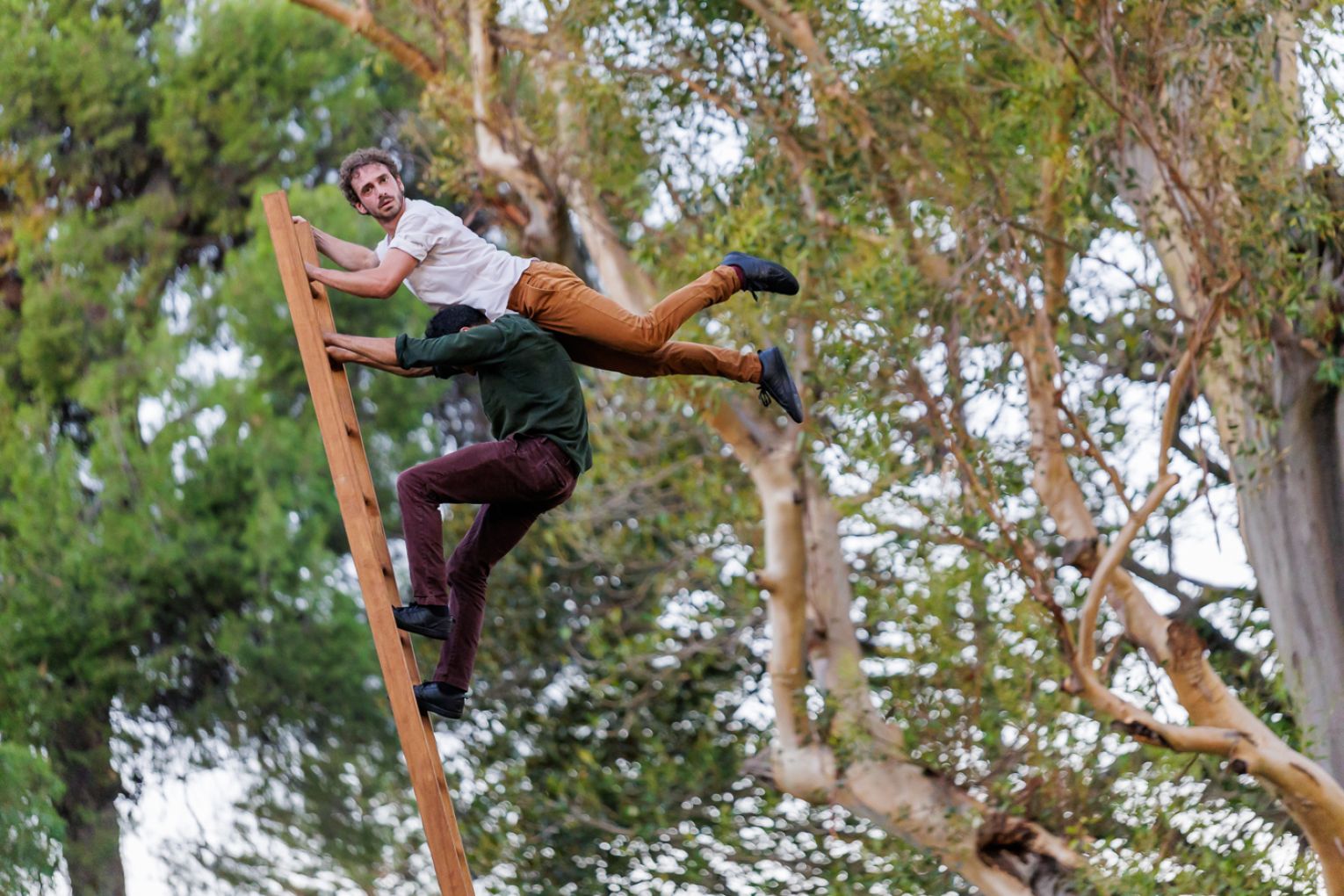 Contemporary circus company Hors Surface performed Le poids des Nuages (The Weight of Clouds) at WOMADelaide 2026. Photo: Ben Kelly.