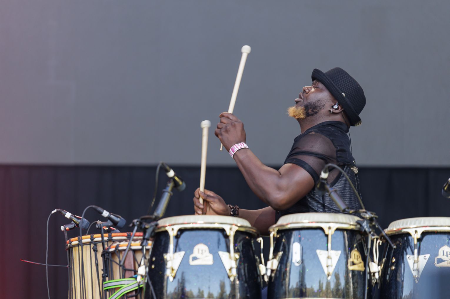 French group Orange Blossom at WOMADelaide 2026. Photo: Ben Kelly.