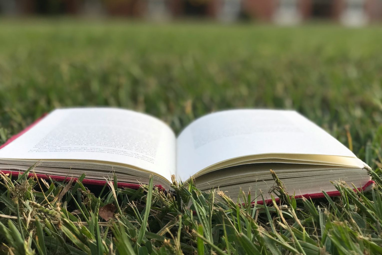 Photo: Madina Koishybayeva / Unsplash