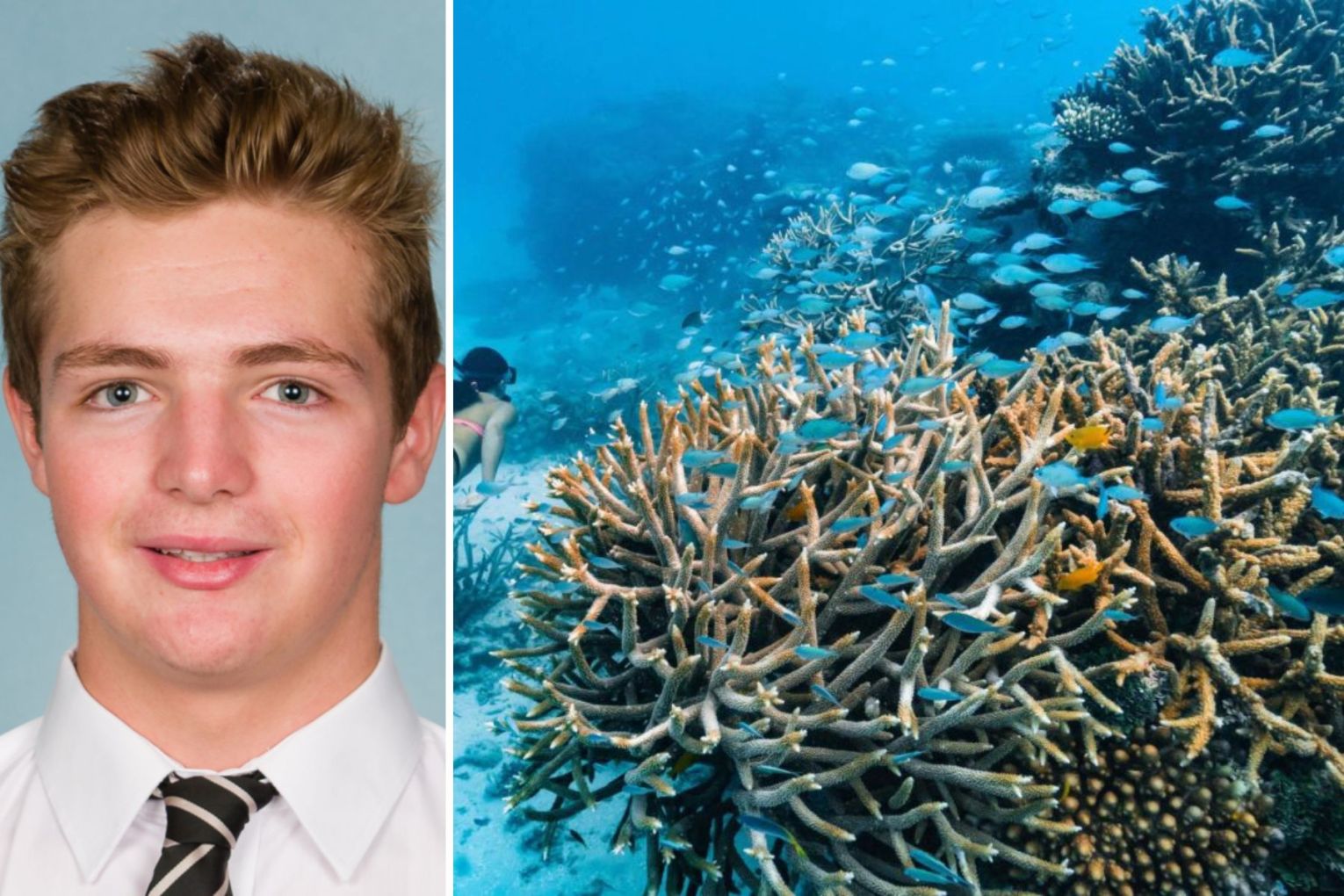 A spearfisher was fulled fro the water off Port Douglas on Saturday.  