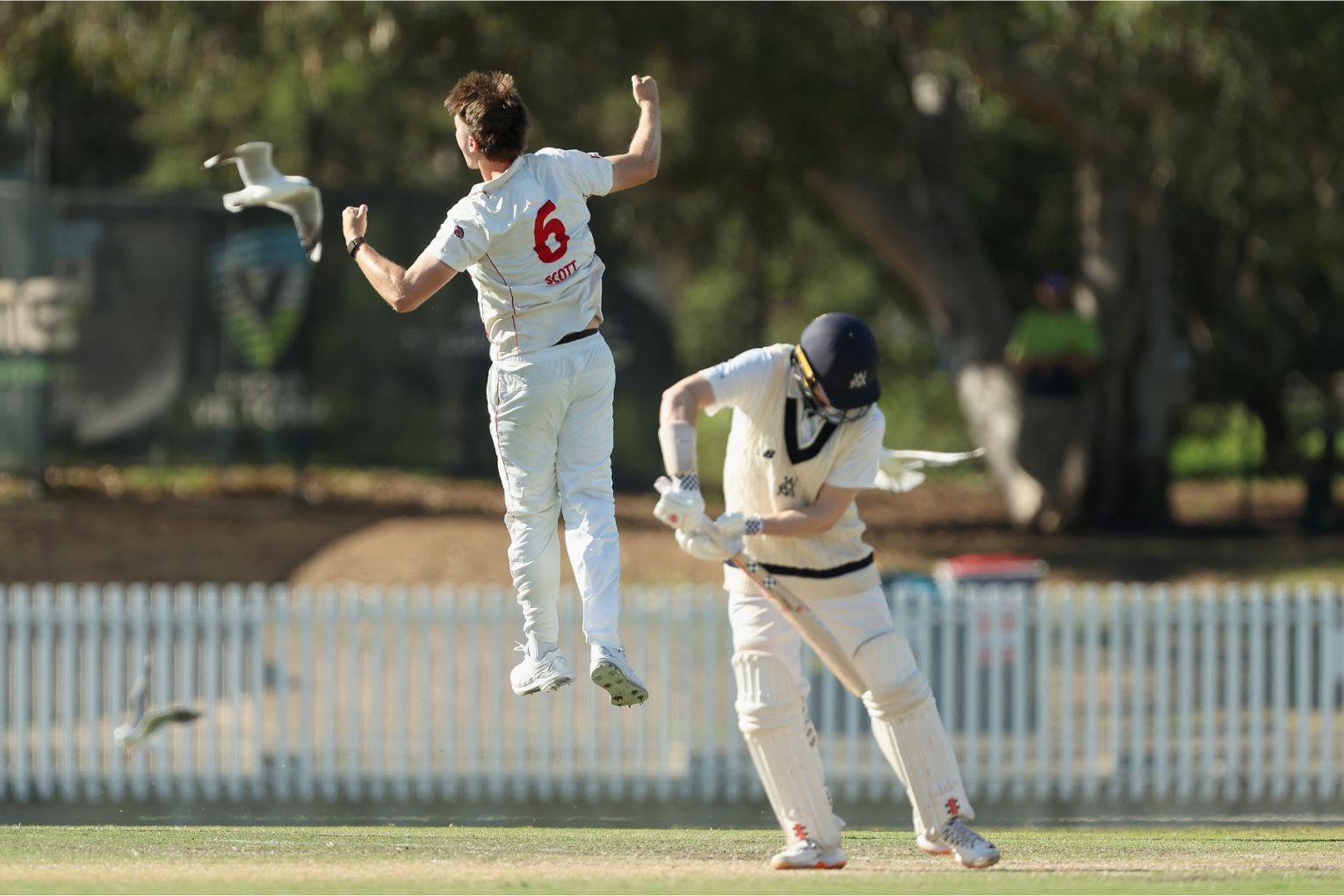 Liam Scott celebrates claiming the key wicket of Oliver Peake in SA's Sheffield Shield triumph. Photo: Rob Prezioso/AAP.