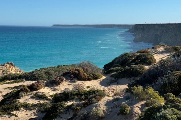 Thumbnail for Together for wilderness