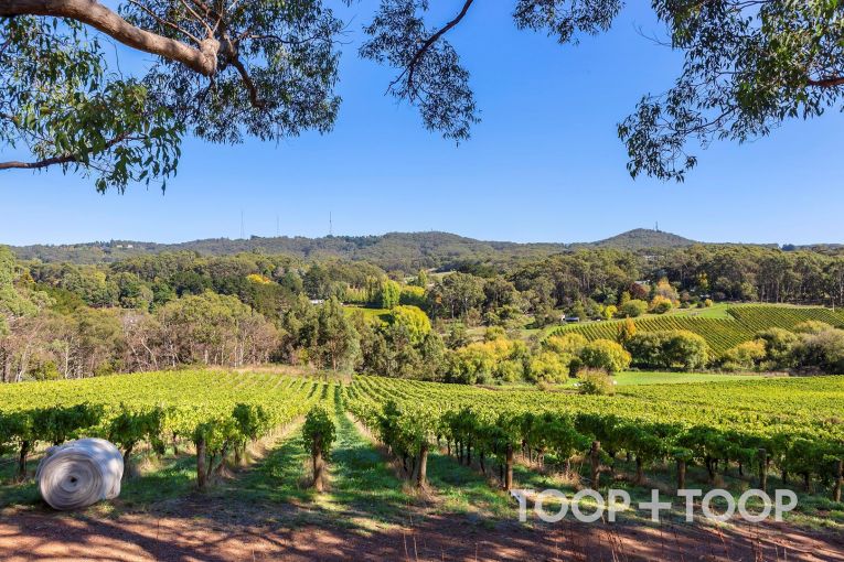 Thumbnail for 12 Udys Road, Piccadilly