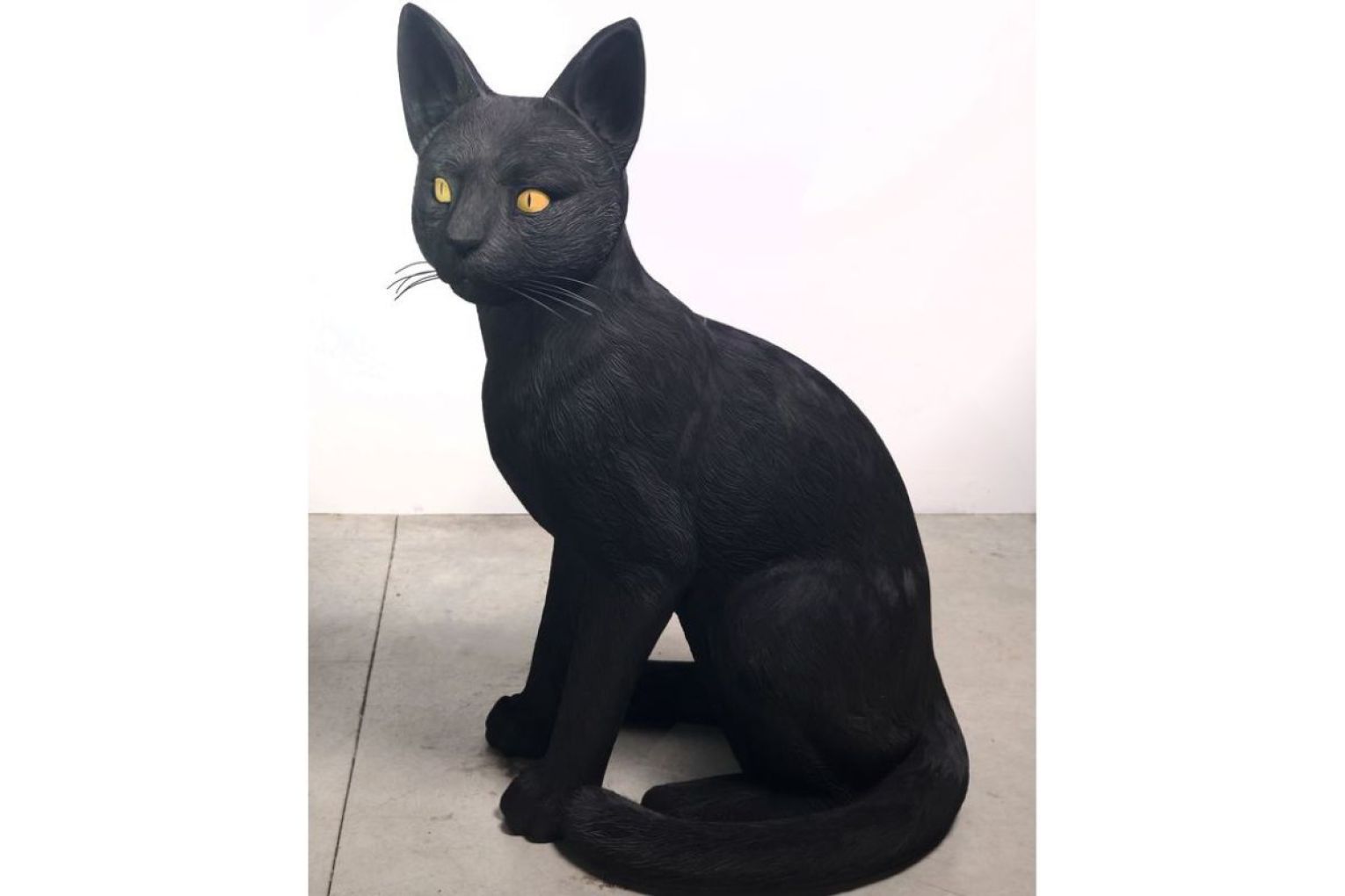 Abdul-Rahman Abdullah from WA was highly commended for Black Cat. Photo: supplied.