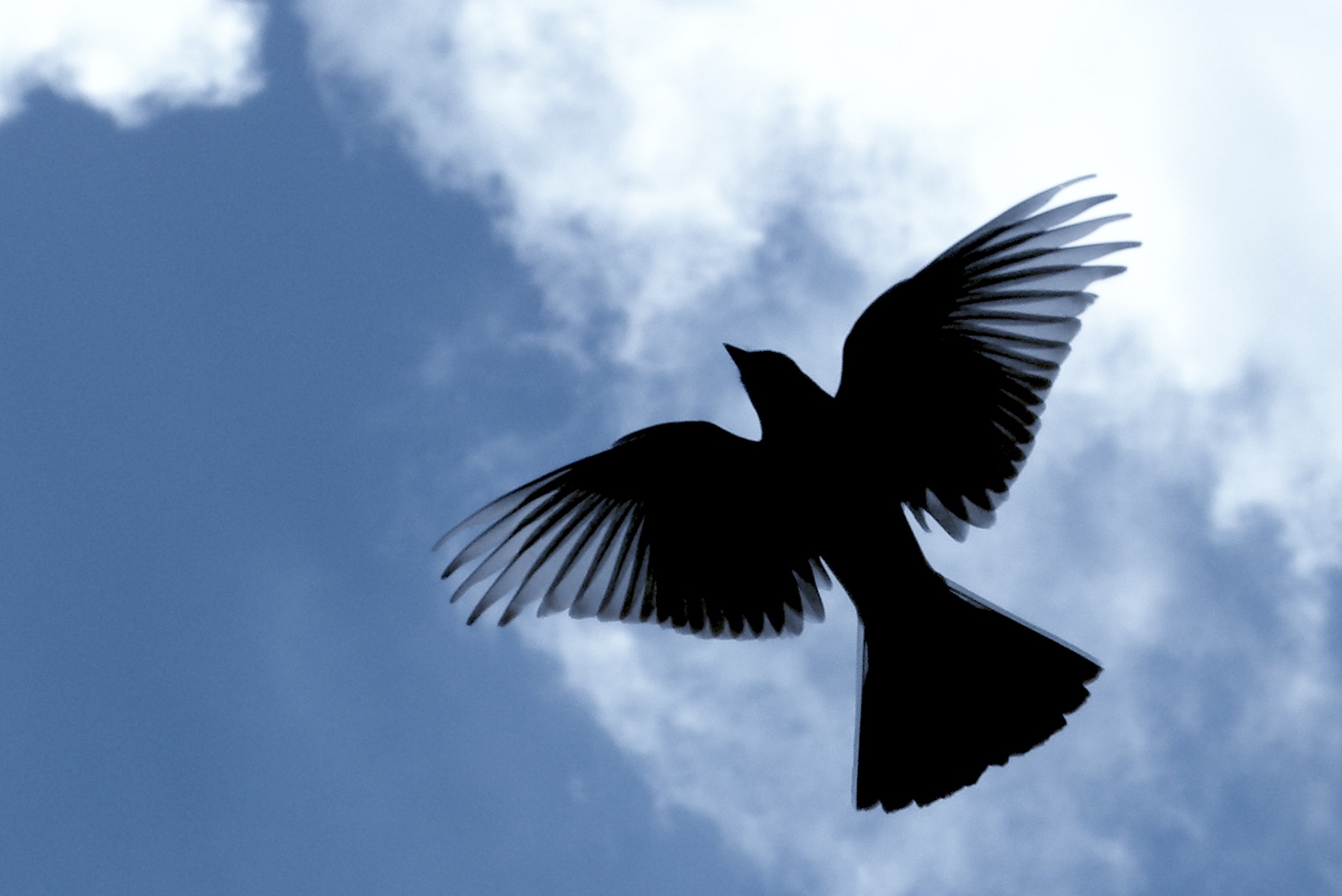 Poem: Of Those Things