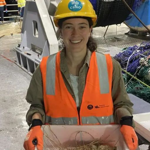 Thumbnail for ‘Extraordinary’ deep sea voyage off Qld coast finds 110 new species