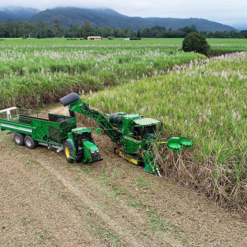 Thumbnail for Fears for cane-farming families as 2026 crushing season gets underway