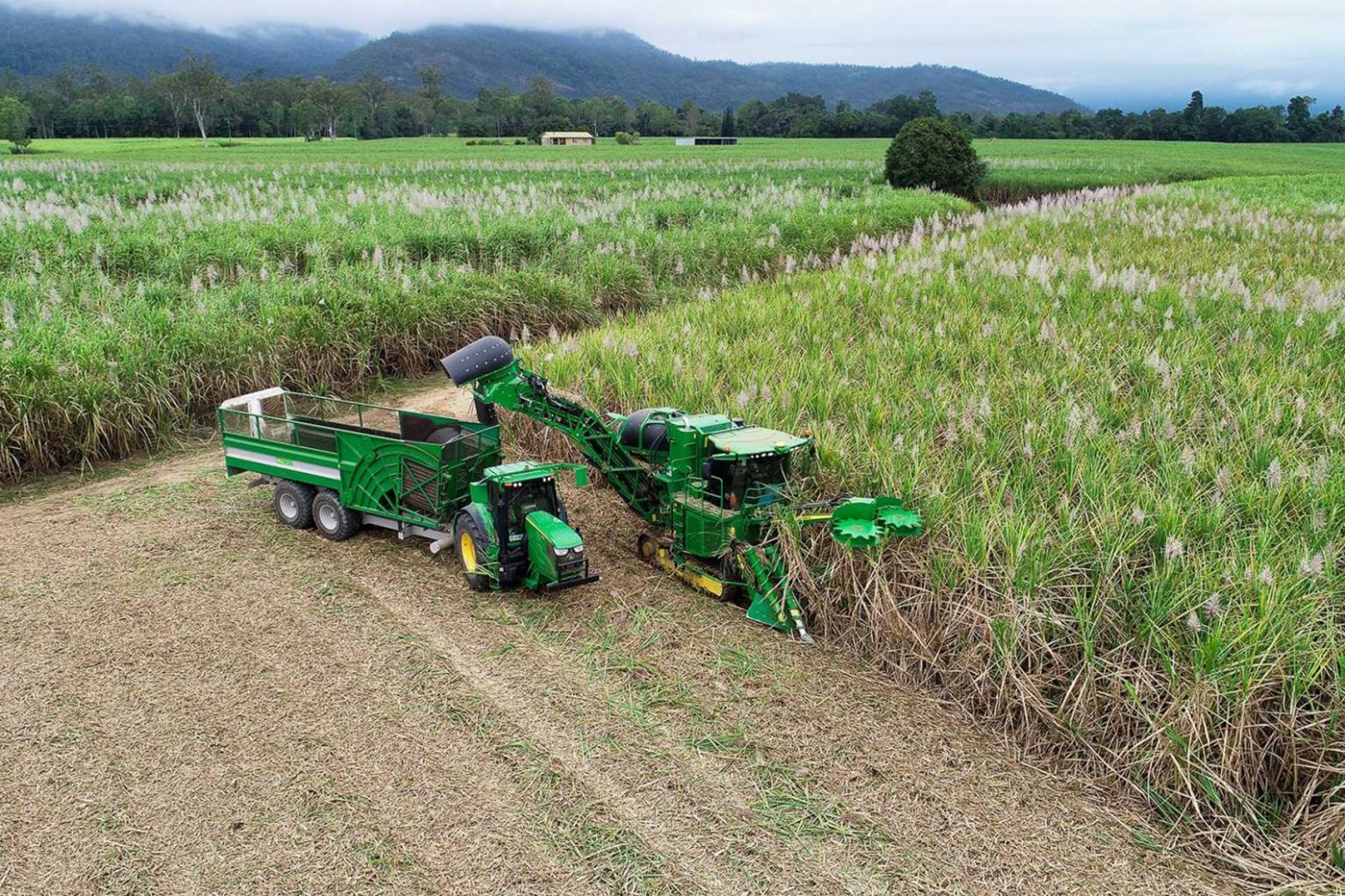 Australian Sugar Manufacturers predict a 30 million tonnes crushing season for 2026 | Credit: CANEGROWERS Queensland