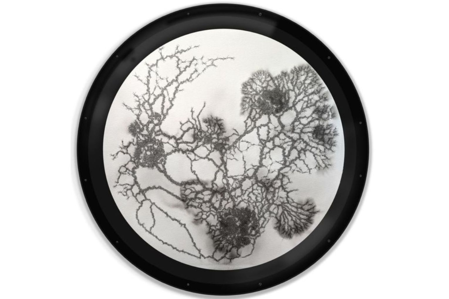 Dan Power from the ACT was highly commended for More Than the Sum of Parts. Photo: supplied.