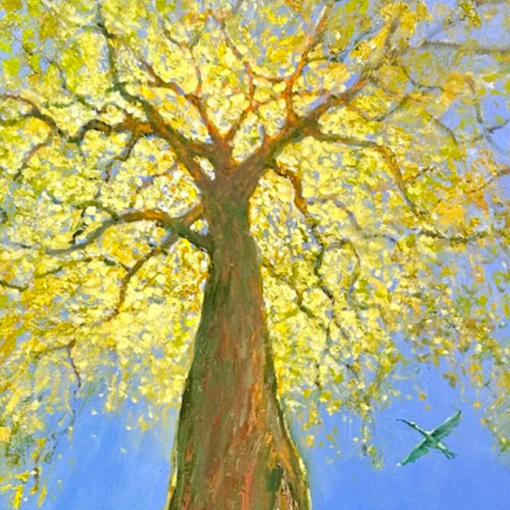 Thumbnail for Campaign group’s art fundraiser bid to save Victoria Park