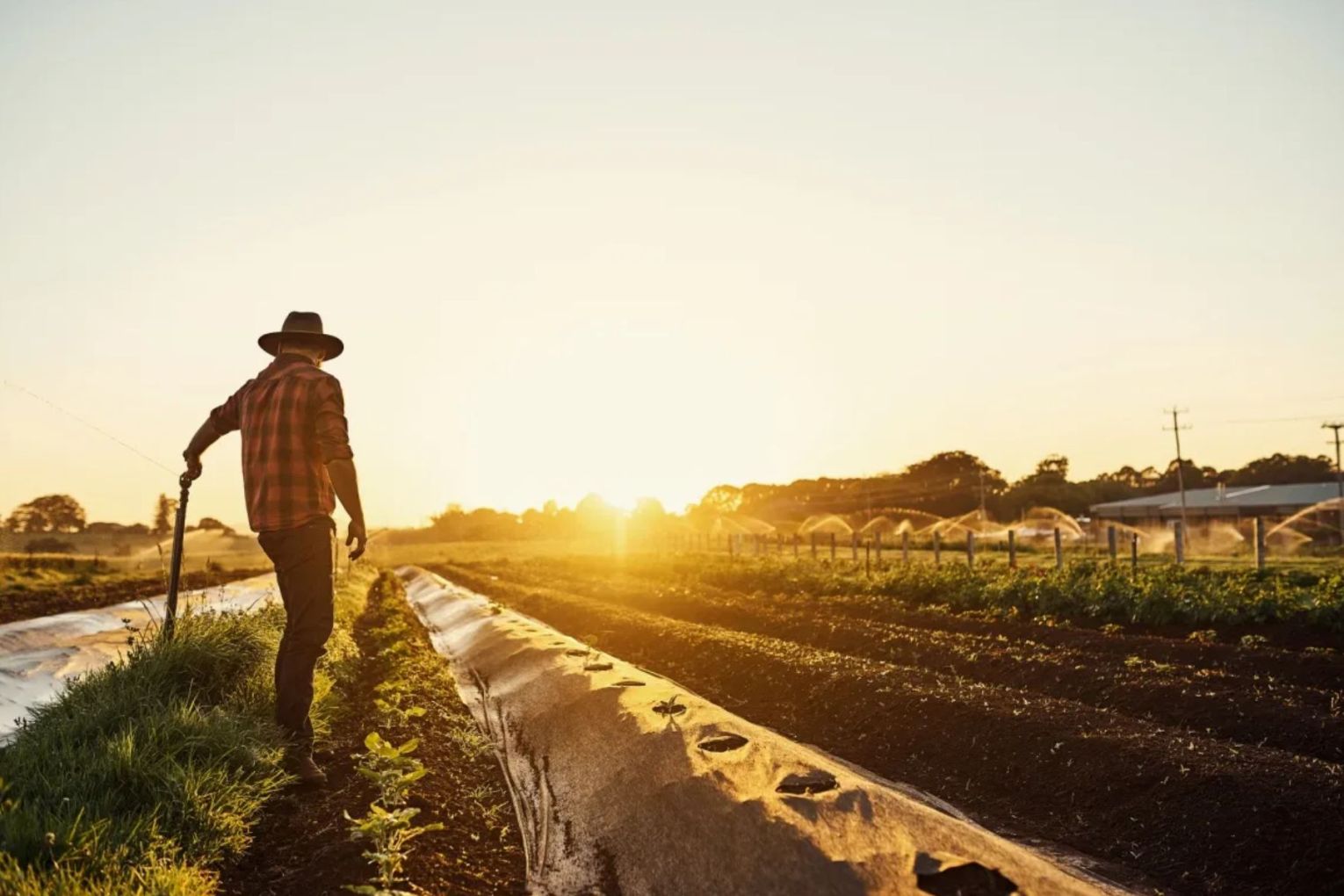 Farmers will have access to fertiliser supplies under a deal struck by the federal government. Picture: Getty