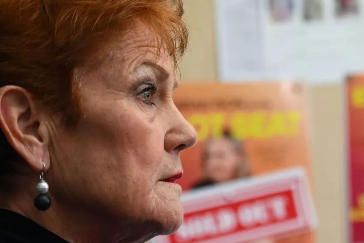 The latest Newspoll shows Pauline Hanson's party falling from its peak of 27 per cent to 24.