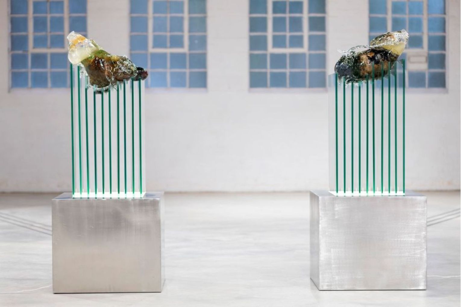 Jeremy Blincoe from Victoria was highly commended for An Odd Circularity. Photo: supplied.