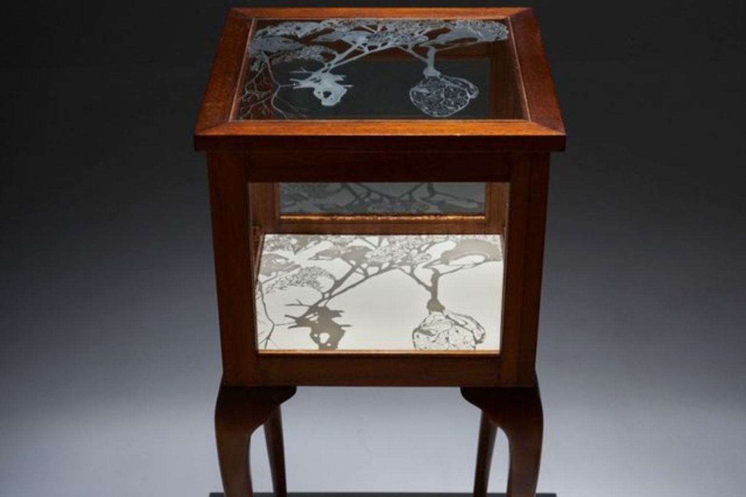 Jorji Gardener from SA was highly commended for Mapping Absence. Photo: supplied.