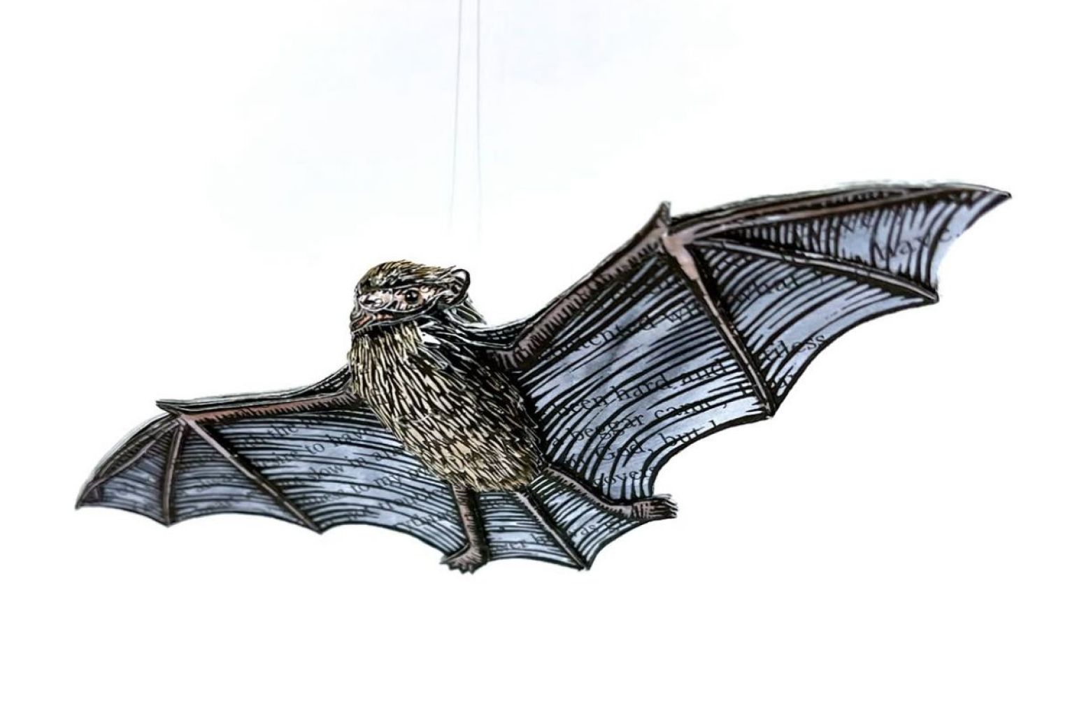 Kat Parker won the emerging category for Discarded (Christmas Island Pipistrelle). Photo: supplied.