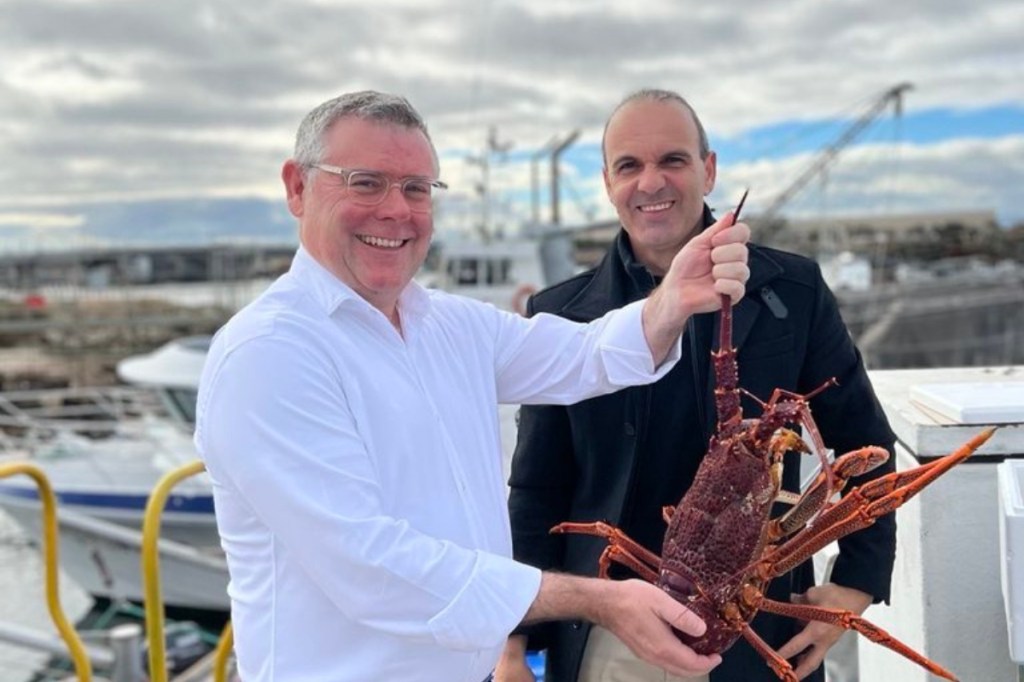 ‘Decade to recover’: Seafood industry still grounded over algal bloom