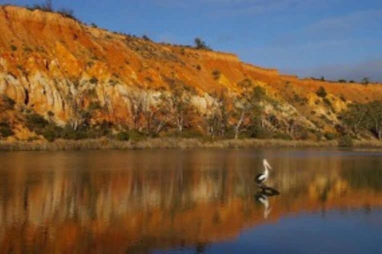 Thumbnail for HydSocSA 13th April  Murray-Darling Basin Plan  – Expert Panel Forum