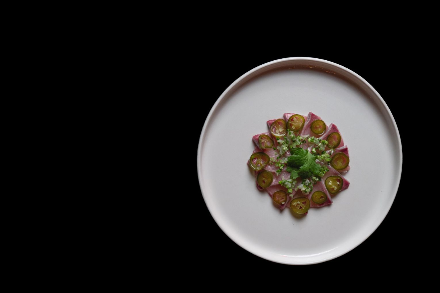 SHŌTŌ is set to open in Burleigh Heads | Credit: Morgane Brouillette 