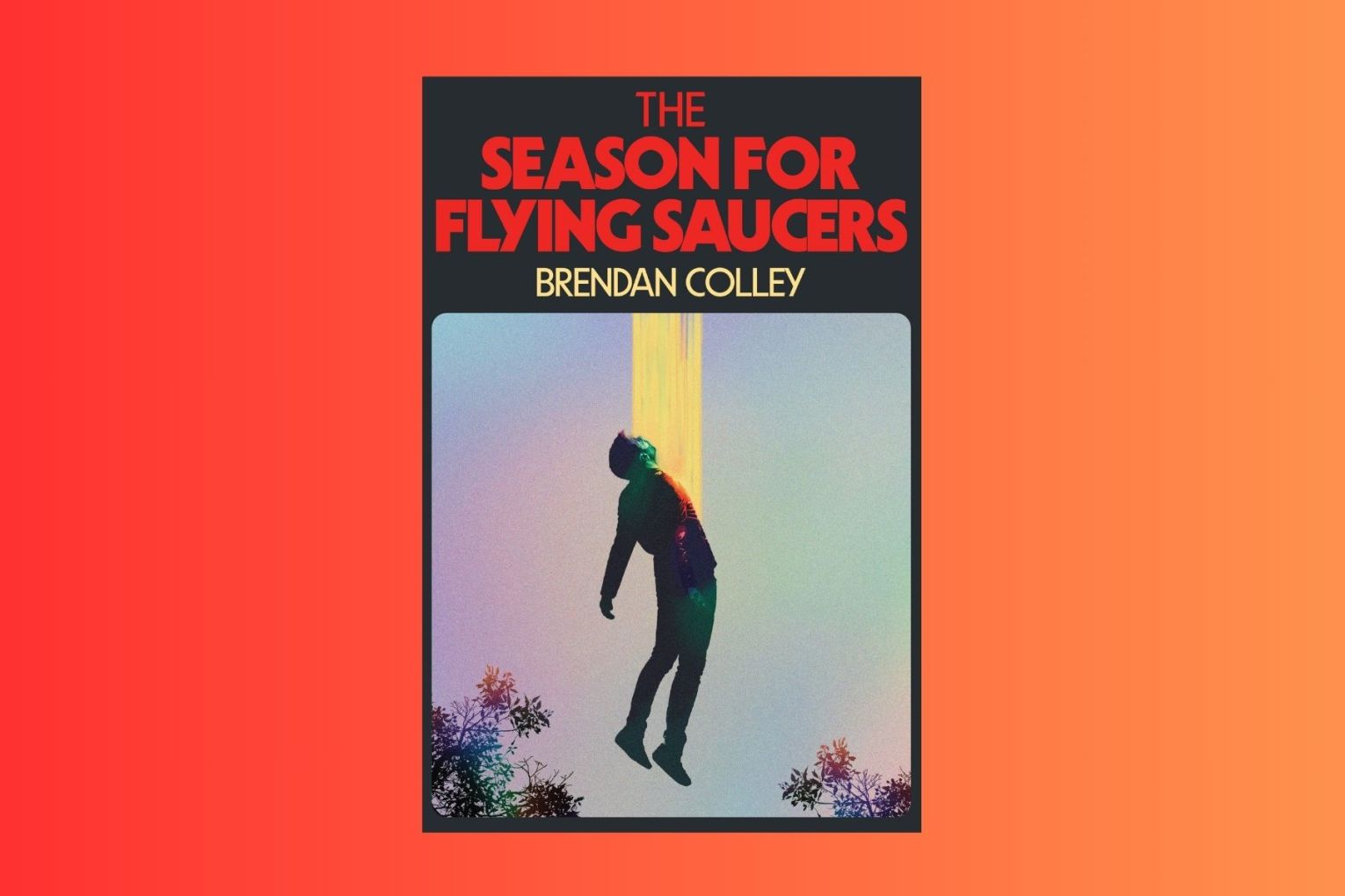 You want to believe in aliens? Then the novel, The Season for Flying Saucers, might be your cup of tea. 