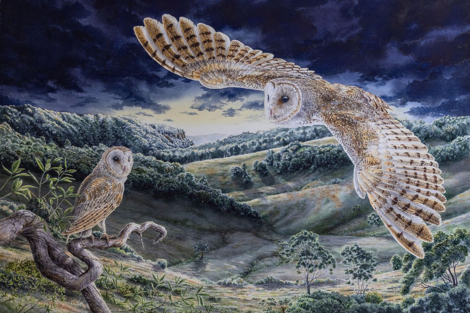Obi Barn Owls by Jonathon Westacott is one of the works now on display in his solo exhibition at Flying Arts' new gallery in Fortitude Valley.