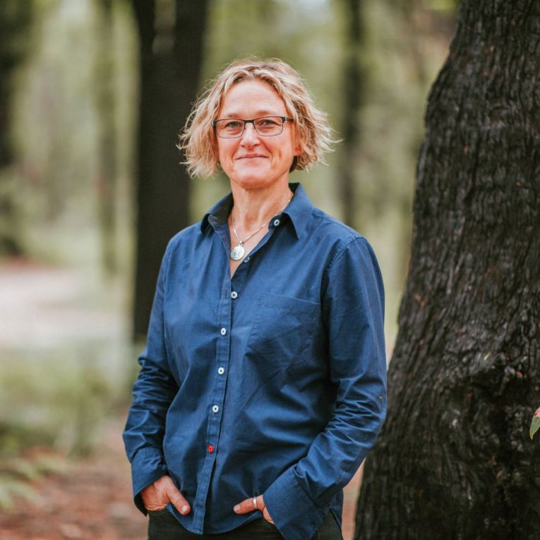 Thumbnail for Eco-warriors: Climate change fuels new literary genre