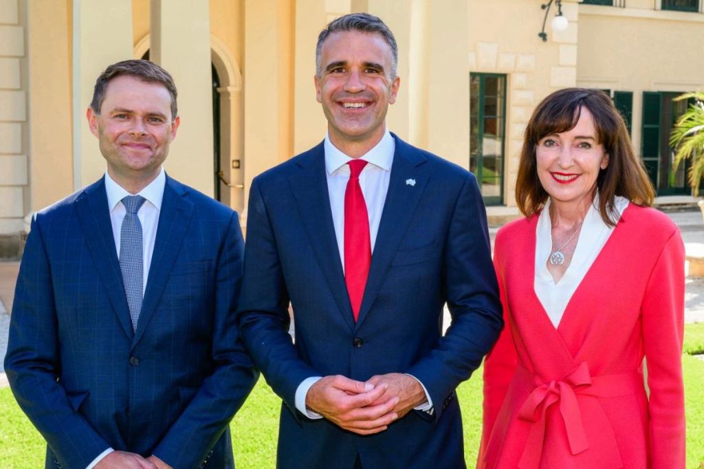 SA’s former deputy premier lands new national role