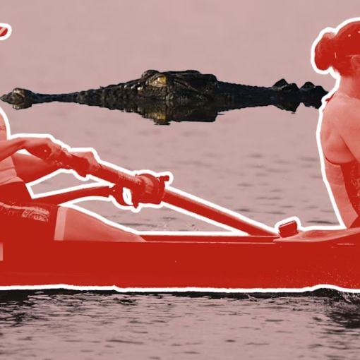 Thumbnail for Is the Fitzroy River suitable for Olympic events, given it’s home to crocodiles?