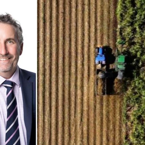 Thumbnail for Canegrowers’ fears over upcoming harvest as fuel supply plummets