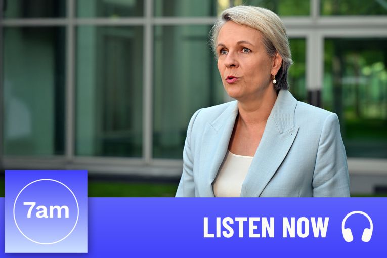 Thumbnail for Tanya Plibersek on PM’s ‘tone deaf’ DV comments