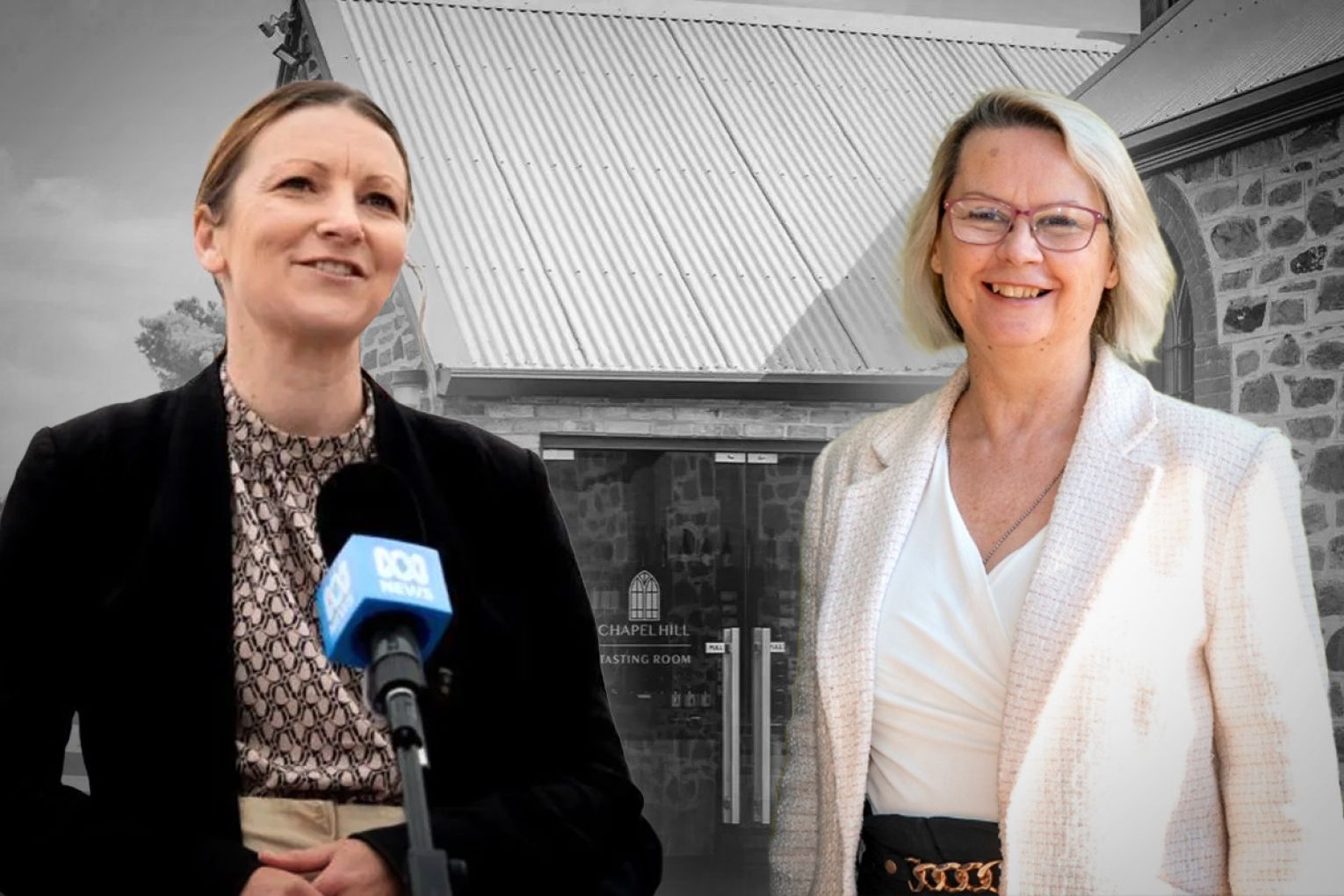 Liberal MLC Nicola Centofanti has called on the Primary Industries Minister Clare Scriven to release money from a regional development fund. Graphic: James Taylor/InDaily