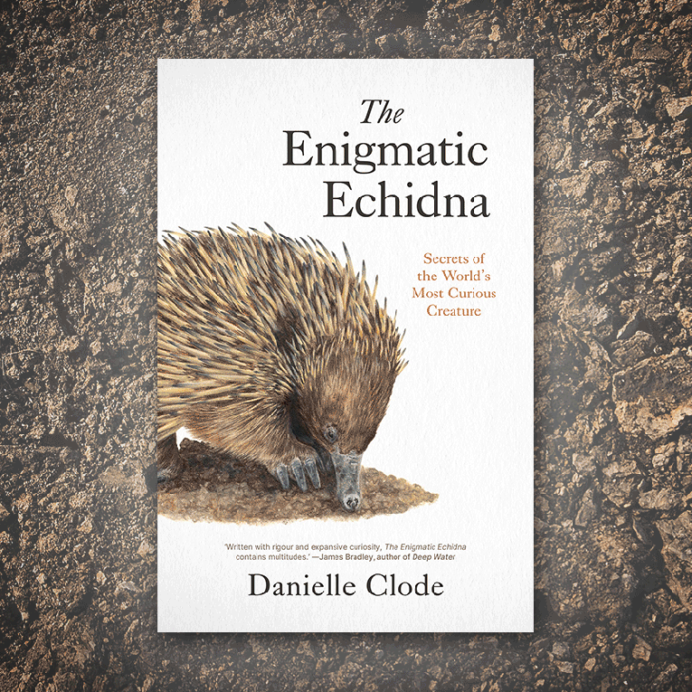 Thumbnail for Book review: The Enigmatic Echidna
