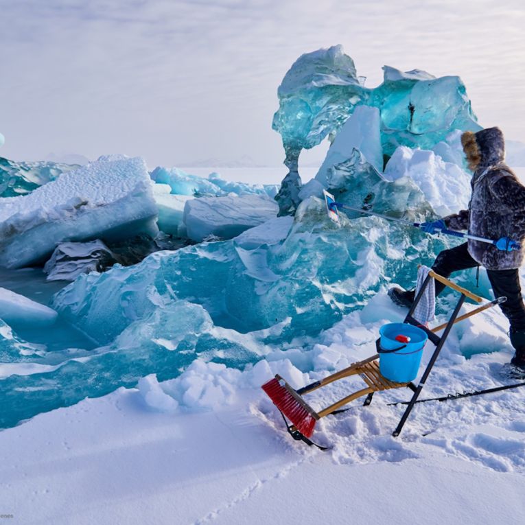 Thumbnail for Waterhouse Art Prize explores the toxic and the tragic of our natural world
