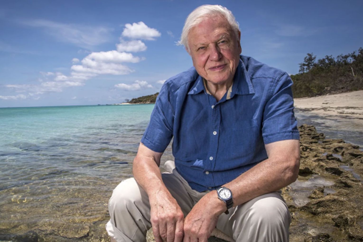 Thumbnail for Nature’s greatest storyteller turns 100