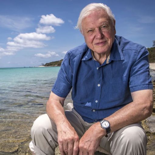 Thumbnail for Nature’s greatest storyteller turns 100