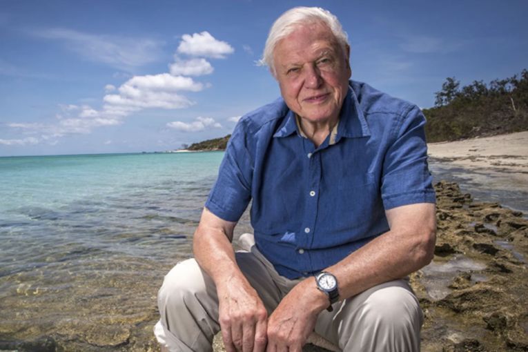 Thumbnail for Nature’s greatest storyteller turns 100