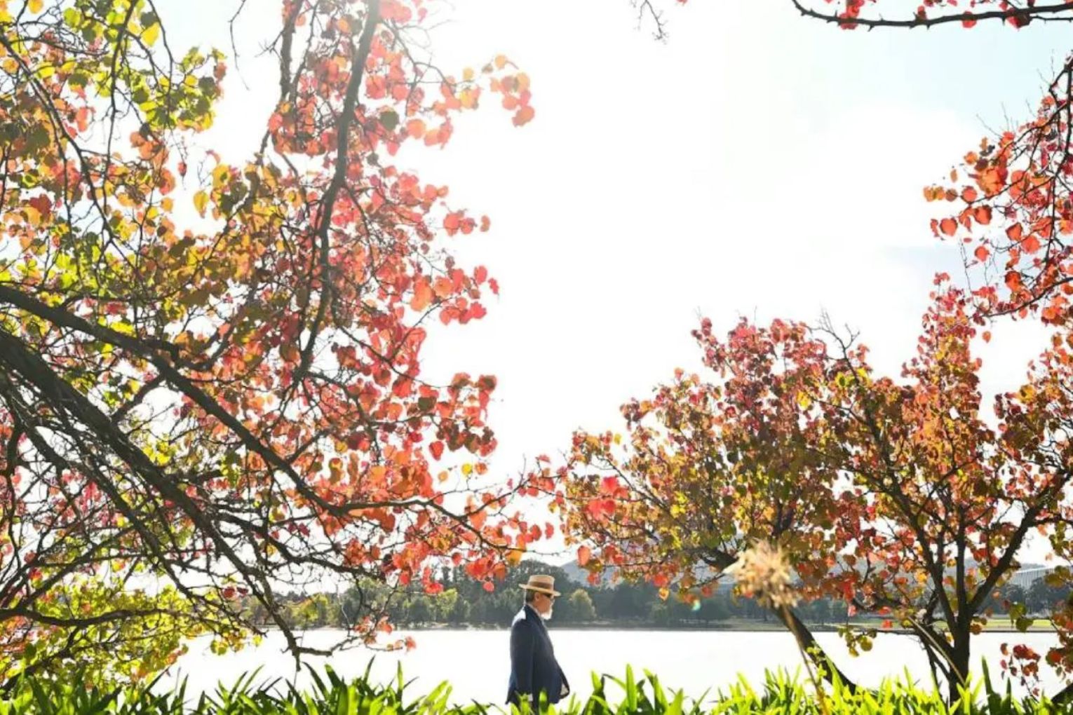 Why has the weather been so unseasonally warm and what will winter look like?